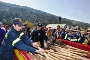 Αναβιώνει το δάσος στο παλιό Νταμάρι στον Υμηττό