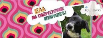 Έλα να γνωριστούμε Ντάρλινγκ!
