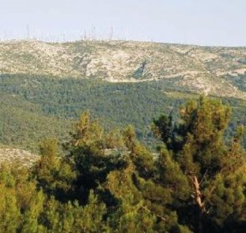 Δελτίο Τύπου συνέντευξης για το ρέμα της Πικροδάφνης