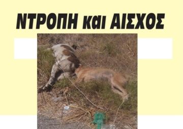 Παναιτώλιο Αιτωλοακαρνανίας: Έγδαρε τον σκύλο, ακρωτηρίασε τα γεννητικά του όργανα και τον πέταξε στο δρόμο
