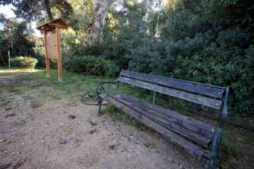 Παρίστανε το γυμναστή σε 11χρονη, την πήγε στο παγκάκι, της πρόσφερε αναψυκτικό και την αποπλάνησε