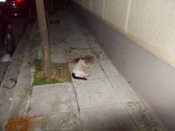 Σκοτώνει συστηματικά γάτες με φόλες και πέτρες στον Βύρωνα  