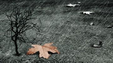 Ο καιρός την Κυριακή 29 Ιανουαρίου 2017