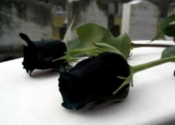 Πέθανε ο 6χρονος που έπεσε από τον 4ο όροφο στην Κηφισιά