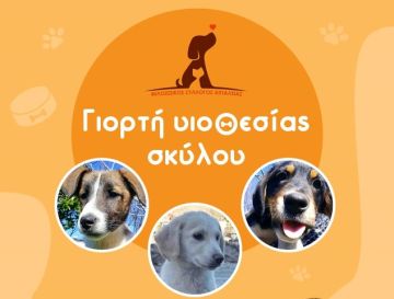 Γιορτή Υιοθεσίας Σκύλων στον Άλιμο 