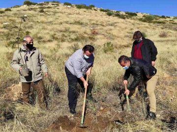 ΣΠΑΥ: Σήμερα ολοκληρώθηκε η αναδάσωση ενός ακόμα πολύπαθου σημείου του Υμηττού μας στην περιοχή της Ηλιούπολης.