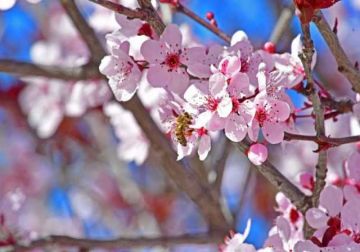 Ο καιρός την Δευτέρα 20 Μαρτίου 2017