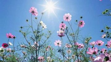 Ο καιρός το Σάββατο 1 Απριλίου 2017