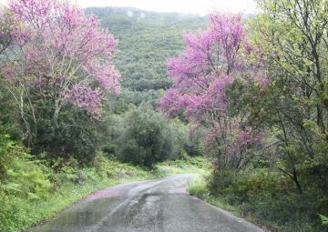 Ο καιρός την Κυριακή του Πάσχα