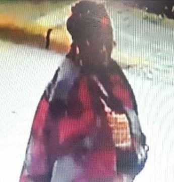 Μυστήριο με την Αφρικανή που προκάλεσε φθορές στο Μουσείο των Βασιλικών Τάφων της Βεργίνας