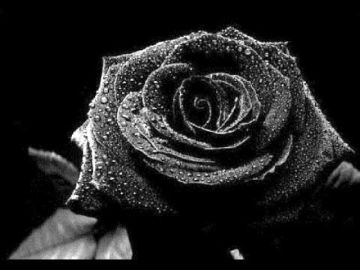 Τραγωδία: Πέθανε η 18χρονη που επιχείρησε να κάψει ο πατέρας της στην Πετρούπολη 