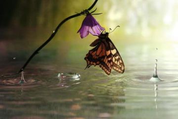 Ο καιρός την Παρασκευή 8 Σεπτεμβρίου 2017