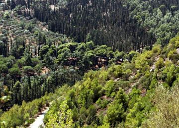 Αναστολή δόμησης σε επτά δήμους του Υμηττού