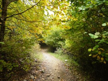 Ο καιρός την Κυριακή 15 Οκτωβρίου 2017