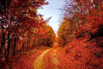 Ο καιρός την Κυριακή 22 Οκτωβρίου 2017