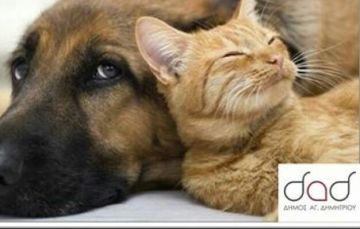 Έβαλες τσιπάκι στο κατοικίδιό σου; (Δήμος Αγίου Δημητρίου)