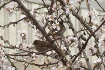 Ο καιρός την Τετάρτη 7 Μαρτίου 2018