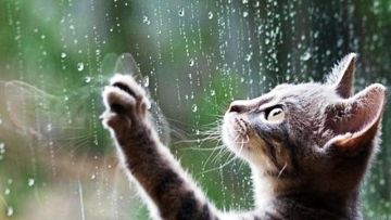 Ο καιρός την Τρίτη 13 Μαρτίου 2018