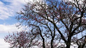 Ο καιρός το Σάββατο 14 Απριλίου 2018