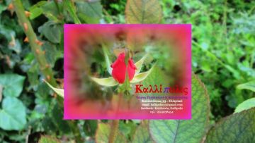 Το «Καλλίπολις» στο πλευρό των εθελοντών & εθελοντριών του Μητροπολιτικού Κοινωνικού Ιατρείου Ελληνικού για να μην κλείσει η δομή