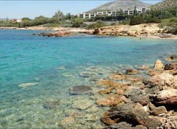 Πρωτοβουλία Ελληνοαμερικανών μαθητών για τον καθαρισμό των ακτών της Σαρωνίδας