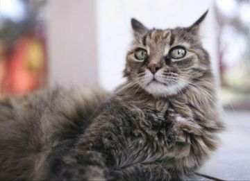 Ο καιρός την Τετάρτη 8 Αυγούστου 2018