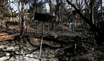 99 πλέον οι νεκροί από την πυρκαγιά στην Ανατολική Αττική. - χθες άφησε την τελευταία της πνοή μία 26χρονη γυναίκα.
