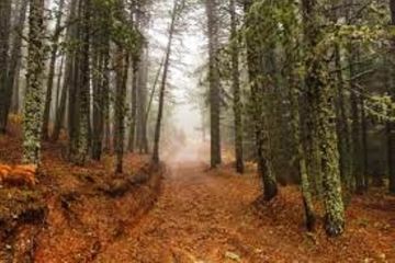 Ο καιρός την Πέμπτη 18 Οκτωβρίου 2018