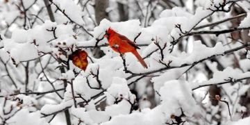 Ο καιρός το Σάββατο 17 Νοεμβρίου 2018