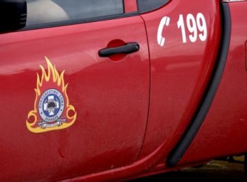 Θυελλώδεις άνεμοι πλήττουν την Αττική: 100 κλήσεις για κοπές δέντρων