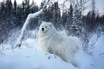 Ο καιρός την Τετάρτη 2 Ιανουαρίου 2019