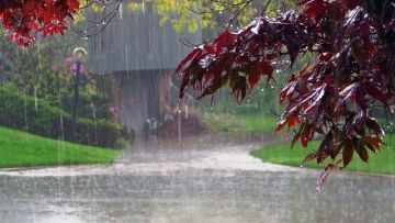 Ο καιρός την Παρασκευή 15 Μαρτίου 2019