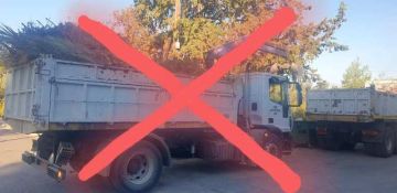 Δήμος Ελληνικού Αργυρούπολης: ''Η ομάδα περισυλλογής κλαδιών και ογκωδών του τμήματος Σάρωσης της Υπηρεσίας Περιβάλλοντος θα παραμείνει σε αναστολή λειτουργίας για 10 μέρες'' 