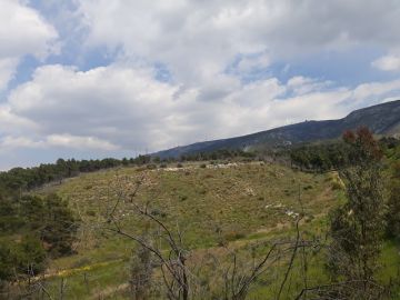 Μελίσσια στον Υμηττό εκεί που ξεκίνησε η φωτιά το 2015 - Πότε θα συμβεί η επόμενη καταστροφή;