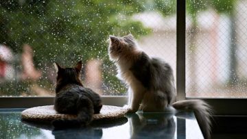 Ο καιρός την Δευτέρα 6 Μαΐου 2019