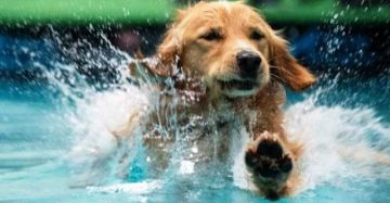 Ο καιρός την Τετάρτη 10 Ιουλίου 2019