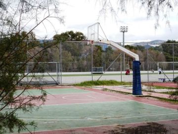 Οι «μπασκέτες» που μας σκοτώνουν... (Του Αντώνη Δαρζέντα*)