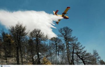 Φωτιά τώρα στις Ερυθρές Μάνδρας