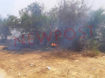 Φωτιά στο άλσος Χαϊδαρίου - Μεγάλη κινητοποίηση της Πυροσβεστικής