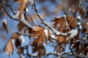 Ο καιρός το Σάββατο 21 Νοεμβρίου 2020