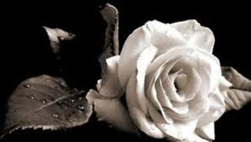 ''Έφυγε'' η μικρή Μελίνα - 2o Δημοτικό Σχολείο Υμηττού