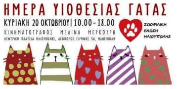 ZΩΟΦΙΛΙΚΗ ΕΝΩΣΗ ΗΛΙΟΥΠΟΛΗΣ: ''ΗΜΕΡΑ ΥΙΟΘΕΣΙΑΣ ΓΑΤΑΣ''