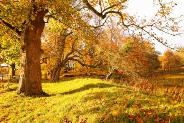 Ο καιρός την Δευτέρα 21 Οκτωβρίου 2019