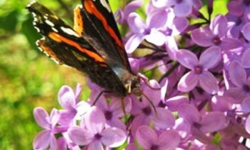 Ο καιρός την Τετάρτη 22 Απριλίου 2020