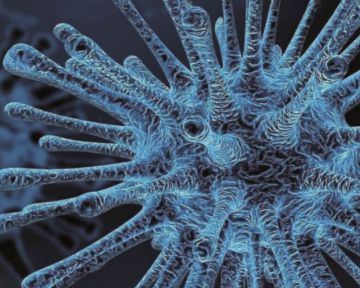 Θετικοί στον κορωνοϊό δύο Σουηδοί τουρίστες! Βρέθηκαν  αφού είχαν κάνει βόλτες  στην Αθήνα