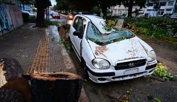 Κακοκαιρία Erminio: Δέντρο πλάκωσε αυτοκίνητο στην Ηλιούπολη