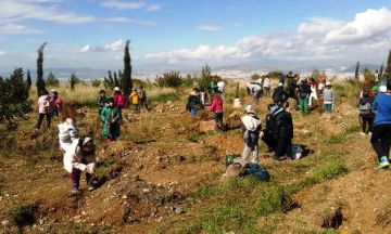 Η Μελέτη αναδάσωσης του Υμηττού υλοποιείται!
