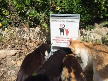 Ταΐστρες και ποτίστρες για τʼ αδέσποτα στον Δήμο Αγίου Δημητρίου Αττικής