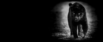 Ο καιρός την Πέμπτη 5 Ιανουαρίου 2023