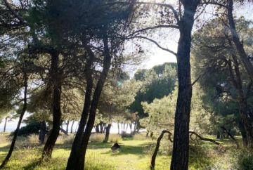 Παράταση απαγόρευσης μετακινήσεων σε δάση, εθνικούς δρυμούς, περιοχές Natura και άλση